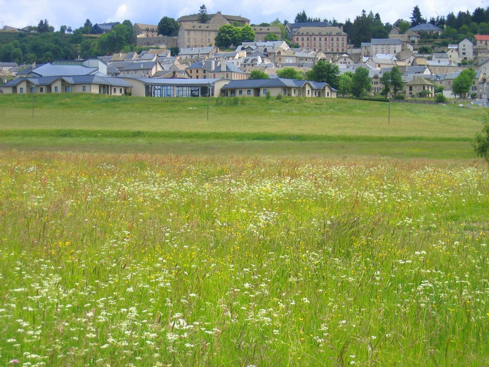 Apartamento Lozere Aubrac Margeride Promo Saint-Alban-sur-Limagnole Exterior foto